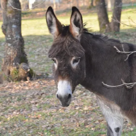ベッド・アンド・ブレックファスト La Grande Jaougue