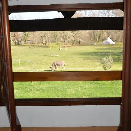 La Grande Jaougue * Callen