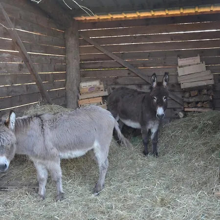 ベッド・アンド・ブレックファスト La Grande Jaougue Callen