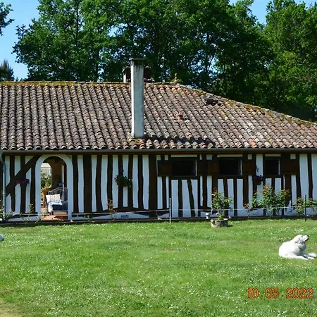 La Grande Jaougue