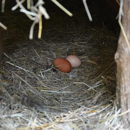 La Grande Jaougue ベッド・アンド・ブレックファスト