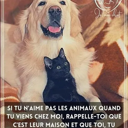 La Grande Jaougue ベッド・アンド・ブレックファスト Callen