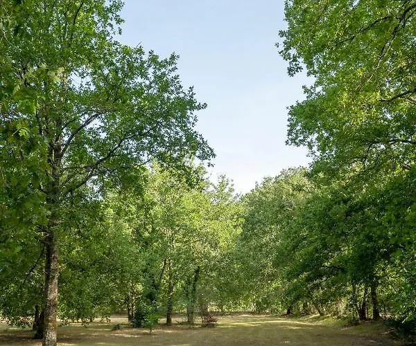 La Grande Jaougue * Callen