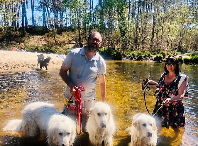 Nocleg ze śniadaniem La Grande Jaougue *