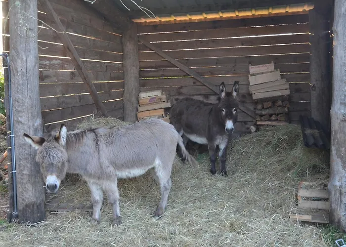 Nocleg ze śniadaniem La Grande Jaougue Callen