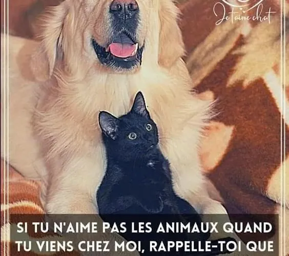 La Grande Jaougue Nocleg ze śniadaniem Callen